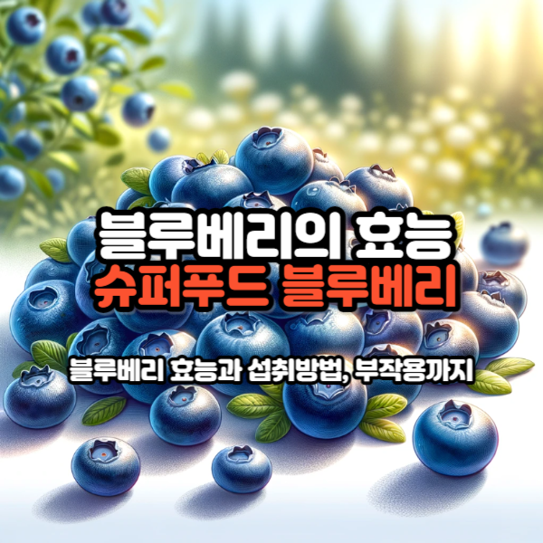 블루베리 효능
