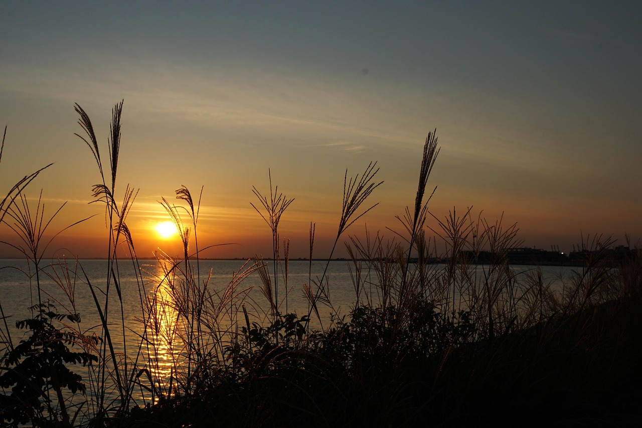 안산 놀거리 먹거리 볼거리 여행 사진