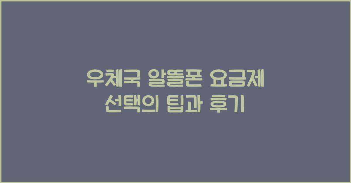 우체국 알뜰폰 요금제