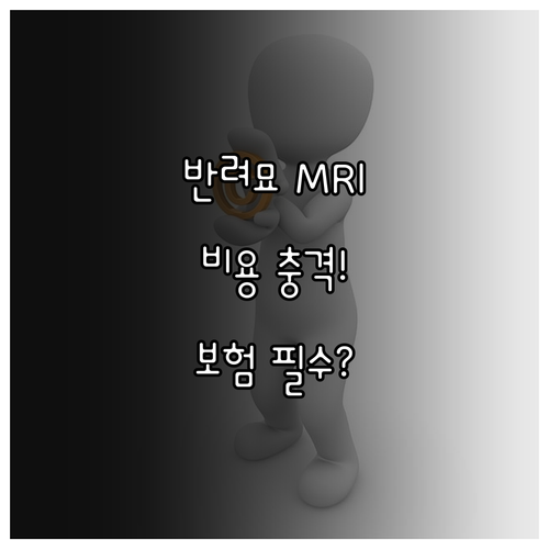 반려묘 MRI CT 검사 비용 50~..