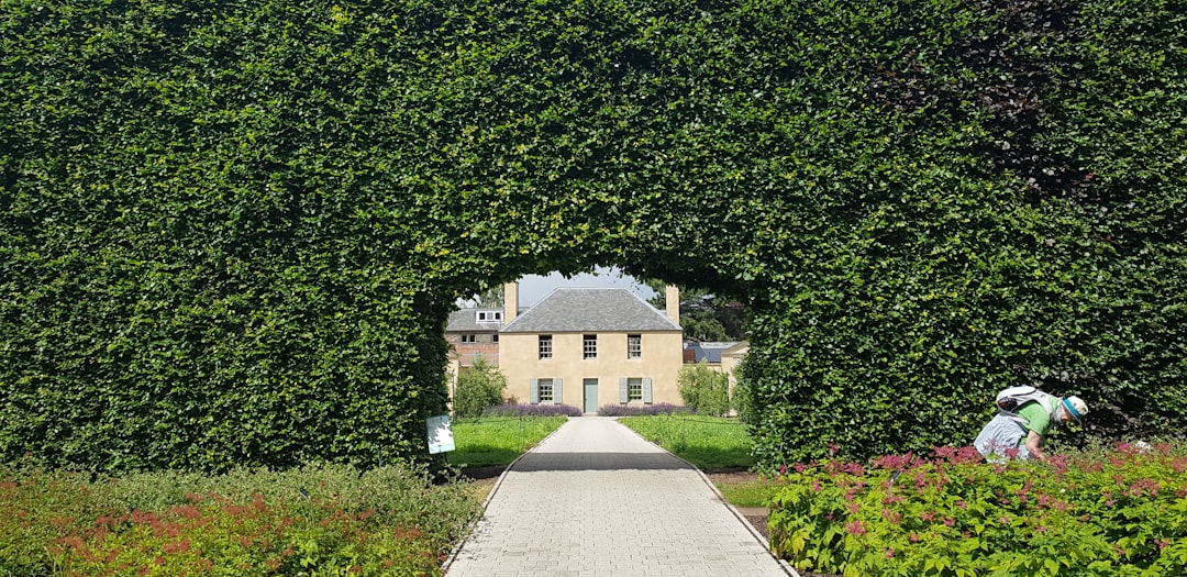 Hedge