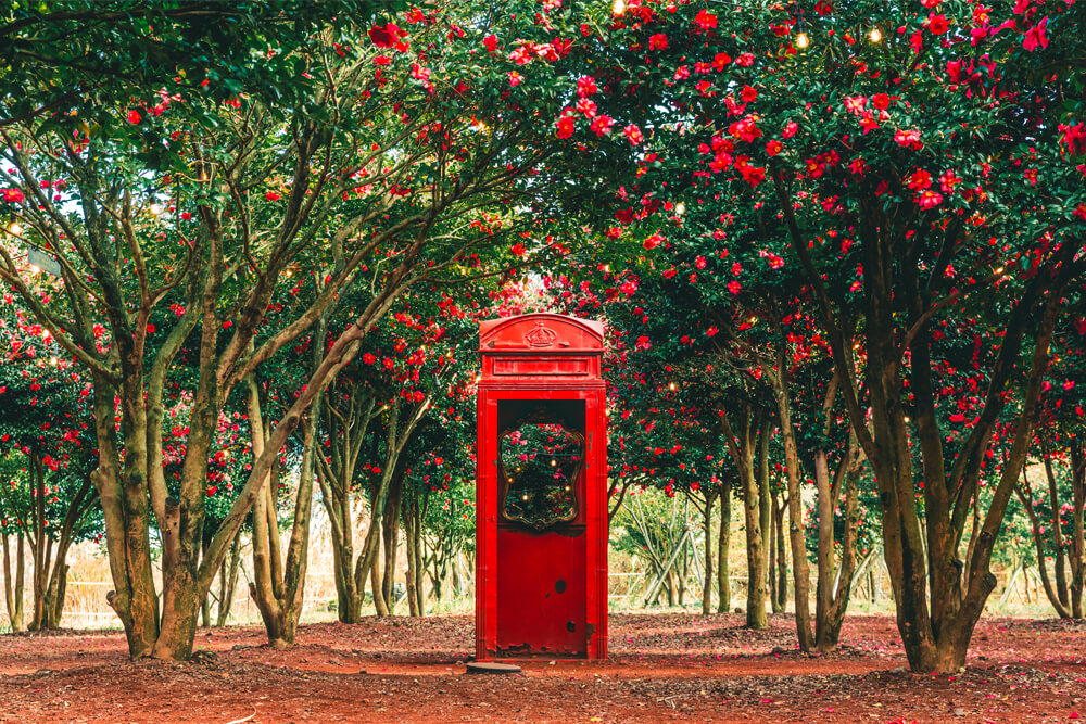 비올때 아이와 함께 제주도 실내 가볼만한곳 top3(동쪽,서쪽)