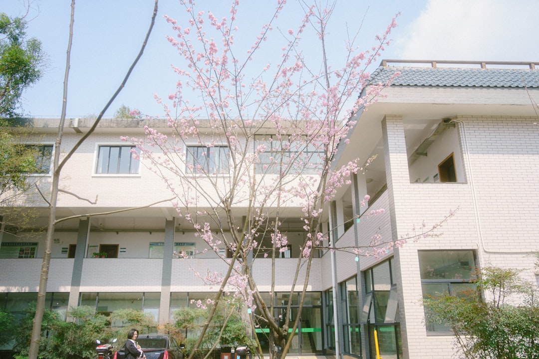 Yeonje-gu Office
