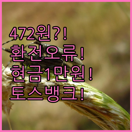 토스뱅크 472원 환전 오류 사태 1..