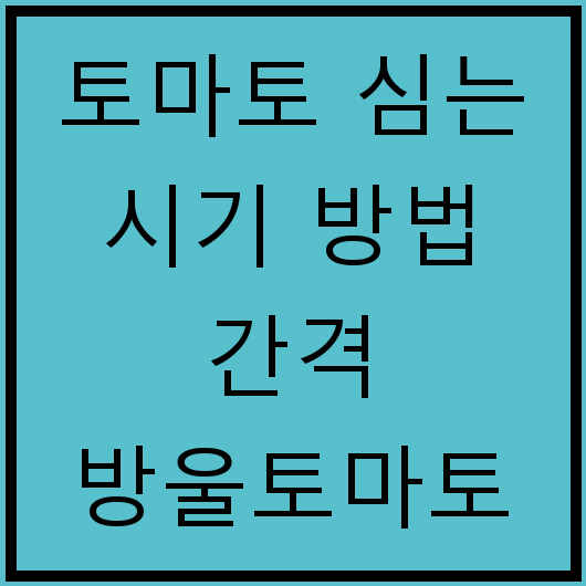 토마토 심는 시기 방법 간격 방울토마토 모종 심기 및 재배법