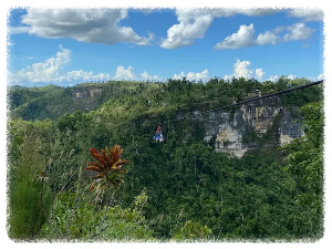 다나오 어드벤처 파크