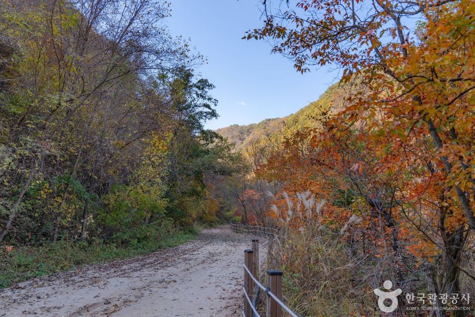 양구 두타연 피의능선
