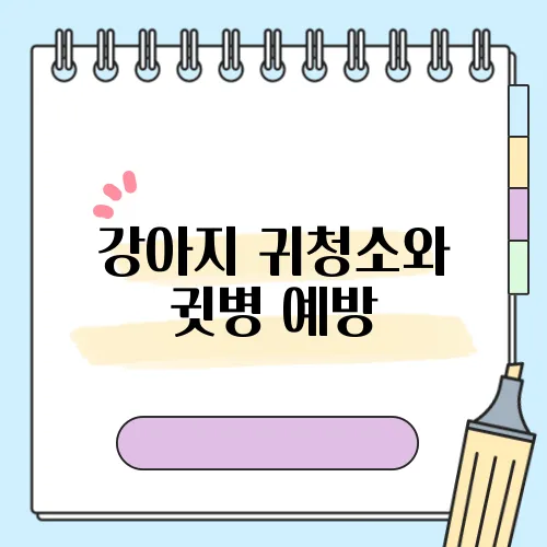 강아지 귀청소와 귓병 예방, 올바른 관리로 건강 지키기