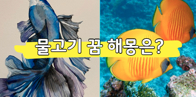 물고기 꿈해몽, 큰 물고기 작은 물고기 꿈 의미(길몽일까?)