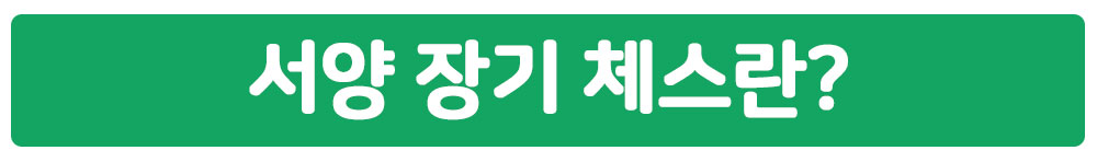 서양 장기 체스란?