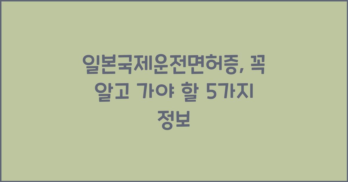 일본국제운전면허증