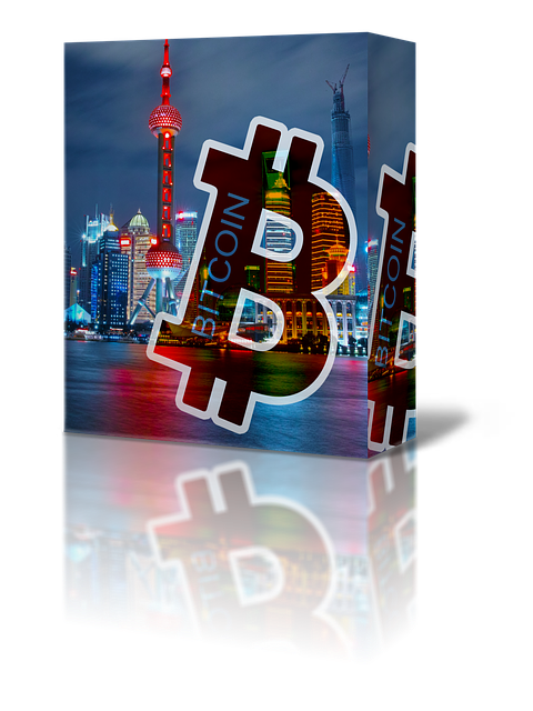 XRP 리플