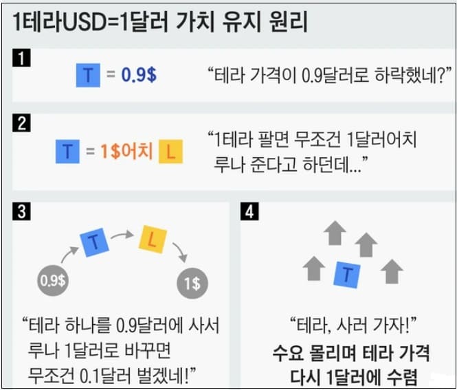 어쩌나! 일파만파 루나 사태...올 해들어 3배 늘어 28만명 투자자 패닉 상태