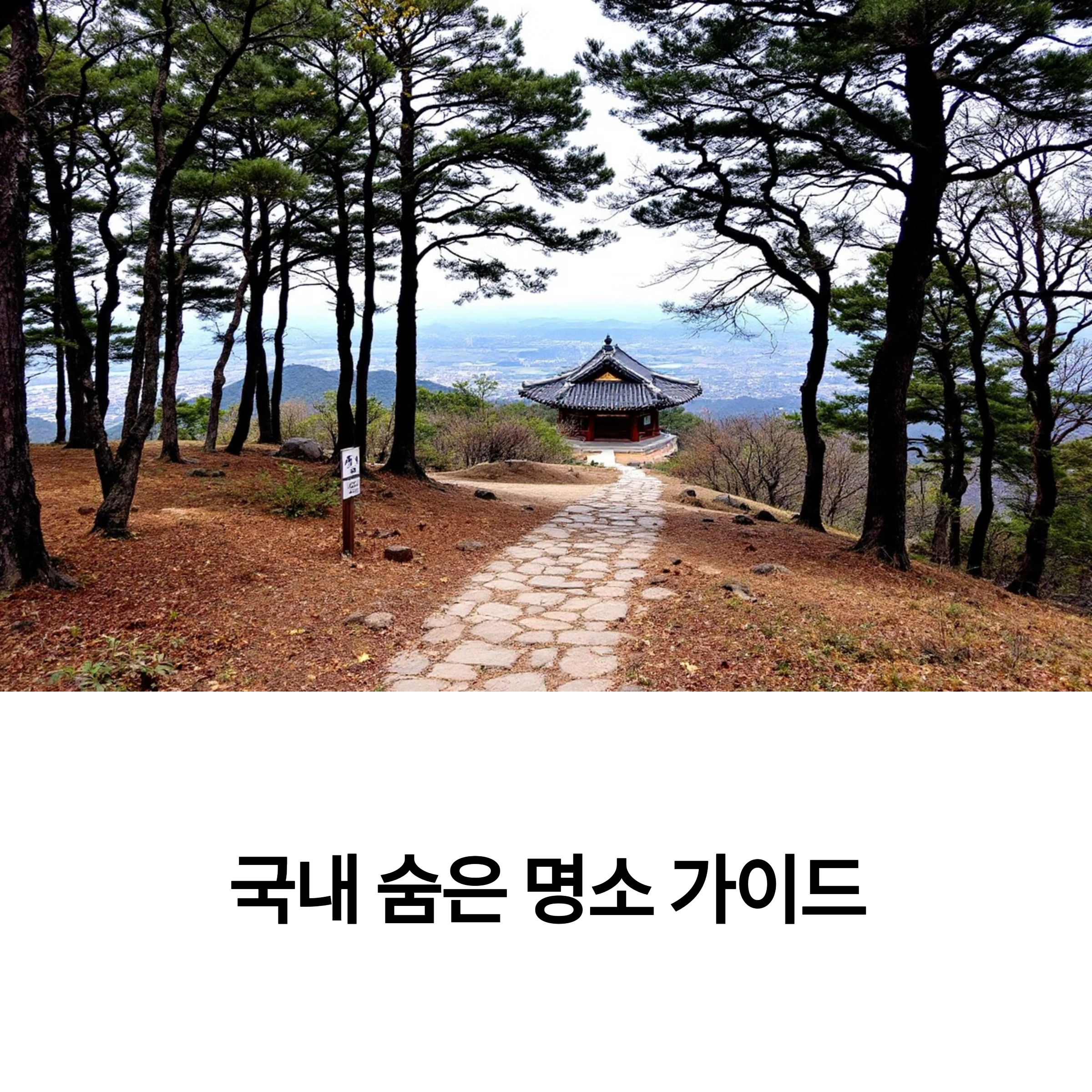 덕숭산 산책로 이미지