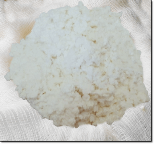 코티지치즈 만들기