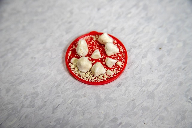 신장에서-나온-돌