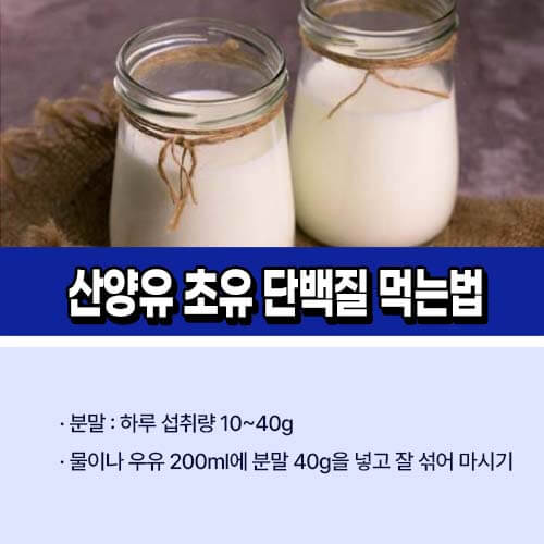 산양유_초유_단백질_분말