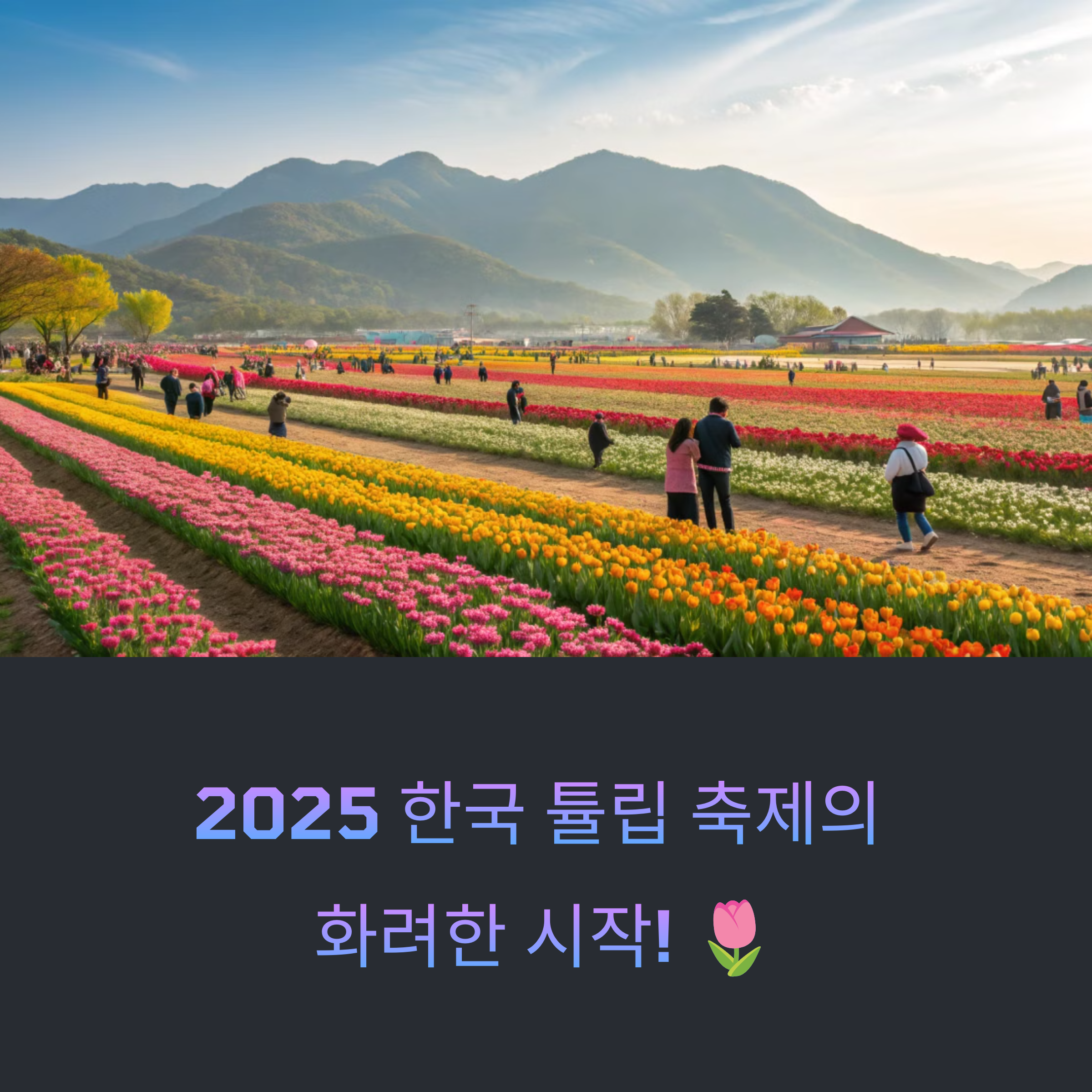 4월 튤립 축제 개막! 국내 주요 장소 미리보기
