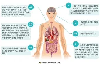 카페인 부작용 중독 증상 두통 원인 정리 정보_14