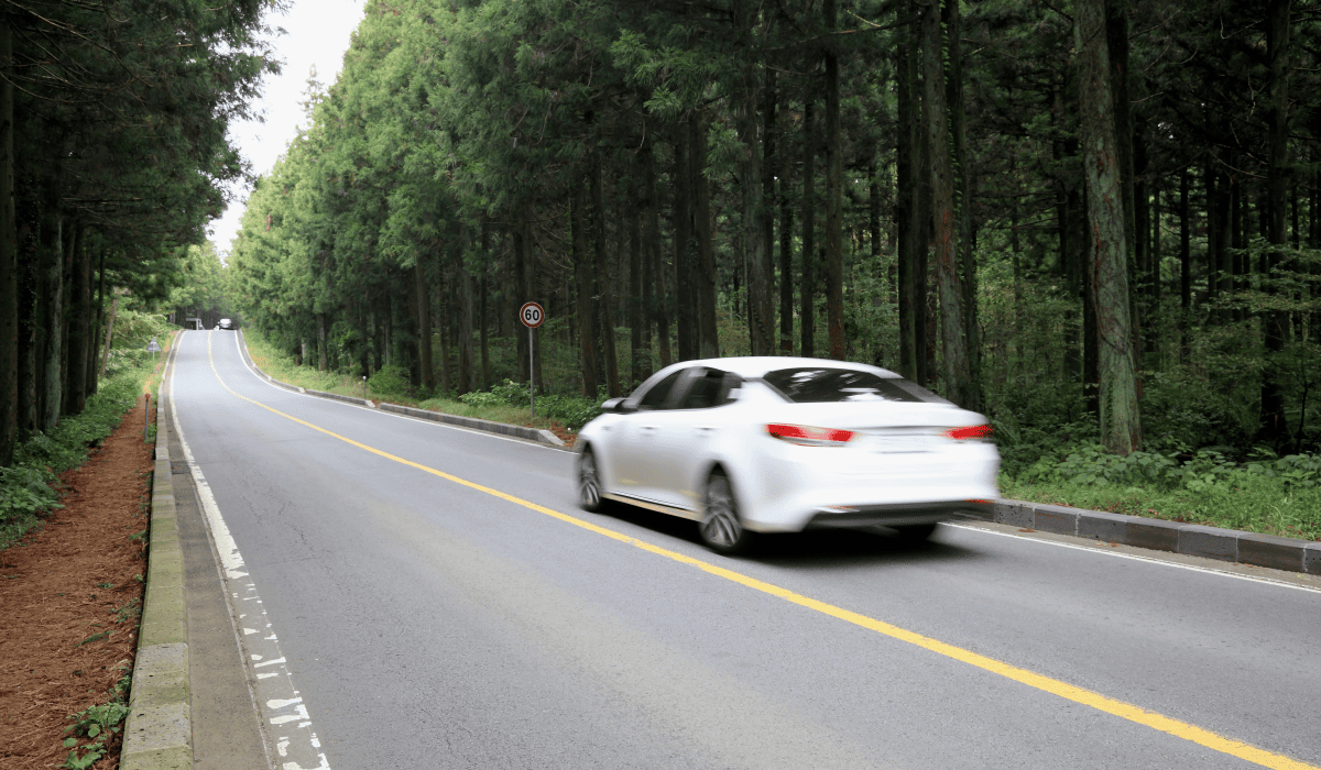 제주렌트카비교사이트_13