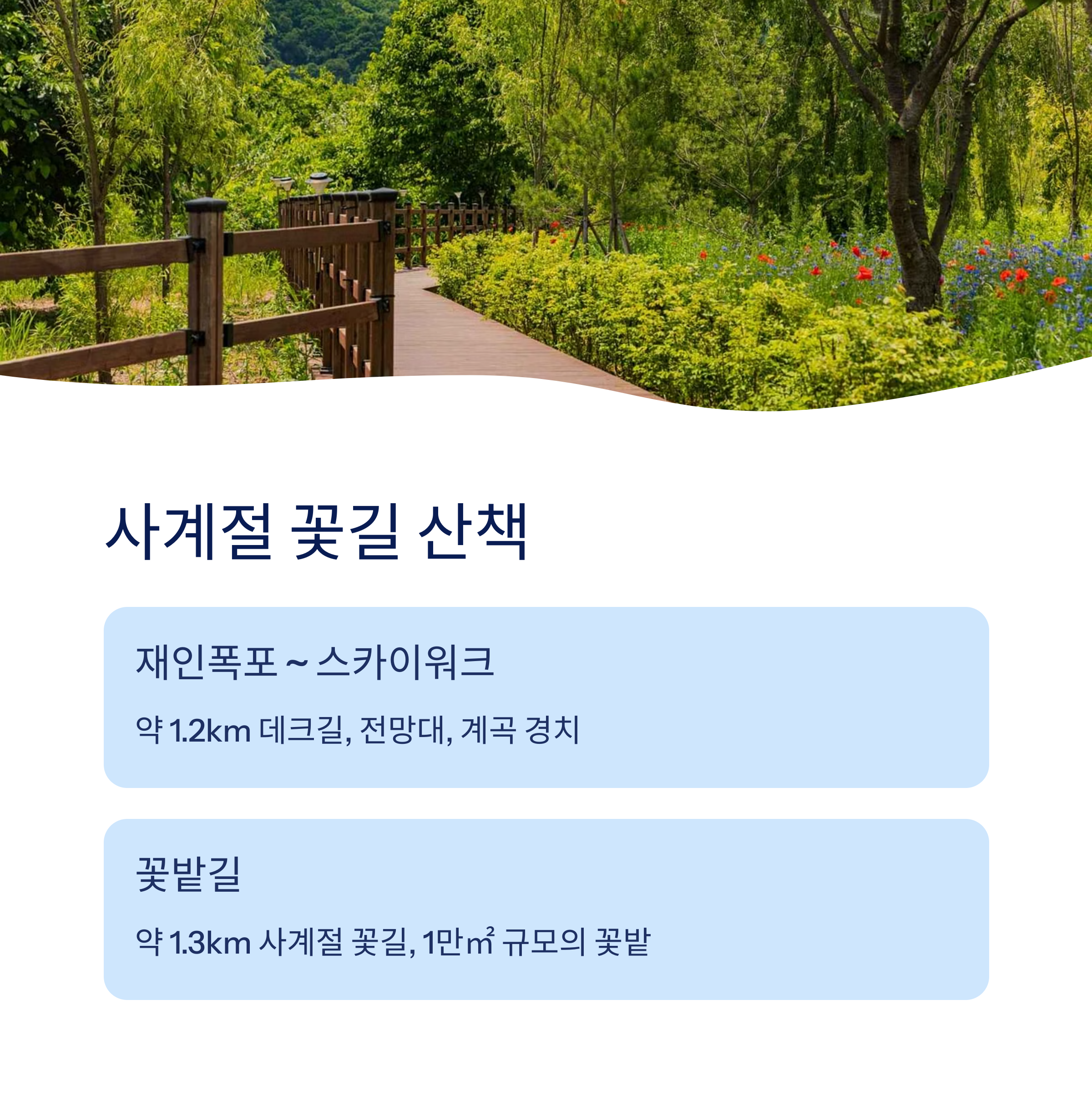 사계절 꽃길 산책