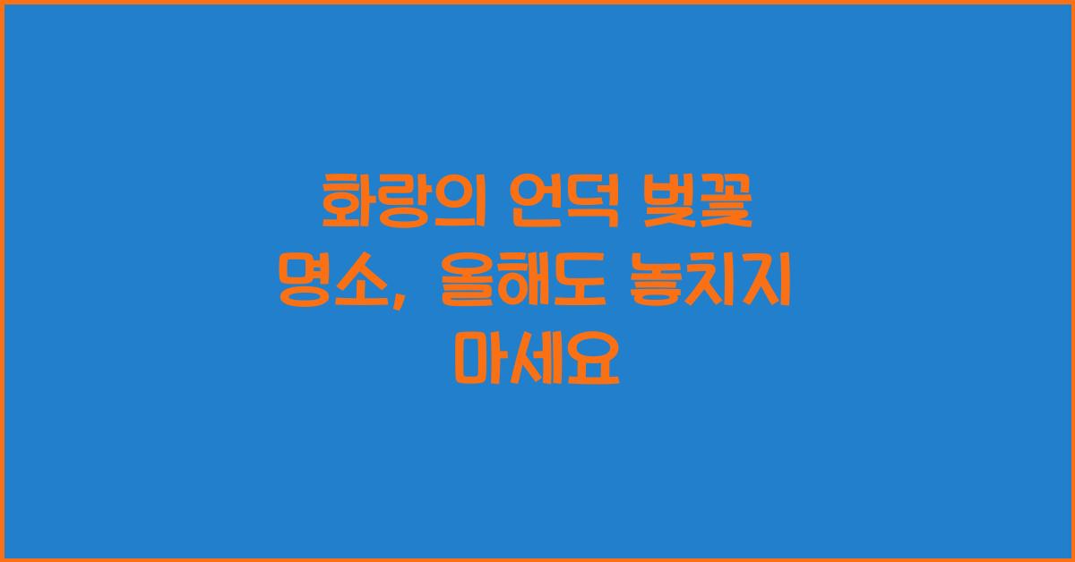 화랑의 언덕 벚꽃 명소