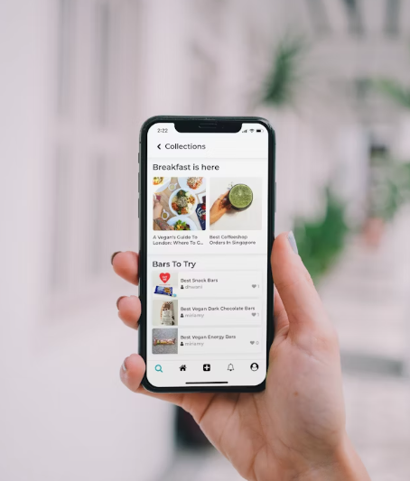 단통법 폐지 시기