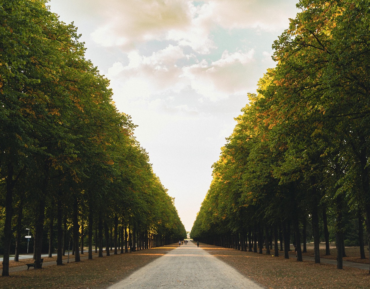 웰빙축제에 어울리는 자연, 힐링에 관련된 사진