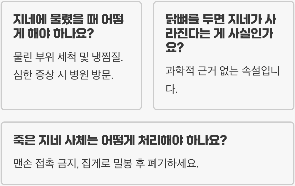 집에 왕지네 나타났을 때, 5분 만에 안전하게 잡는 기적의 퇴치법 3가지
