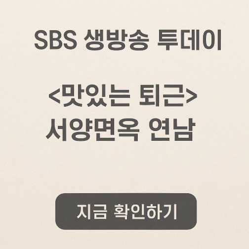 SBS생방송투데이