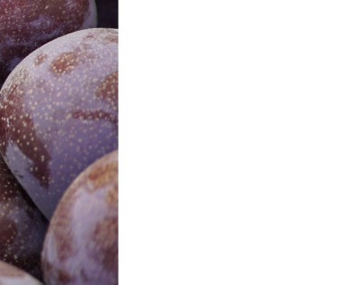 푸룬 건자두 효능 부작용