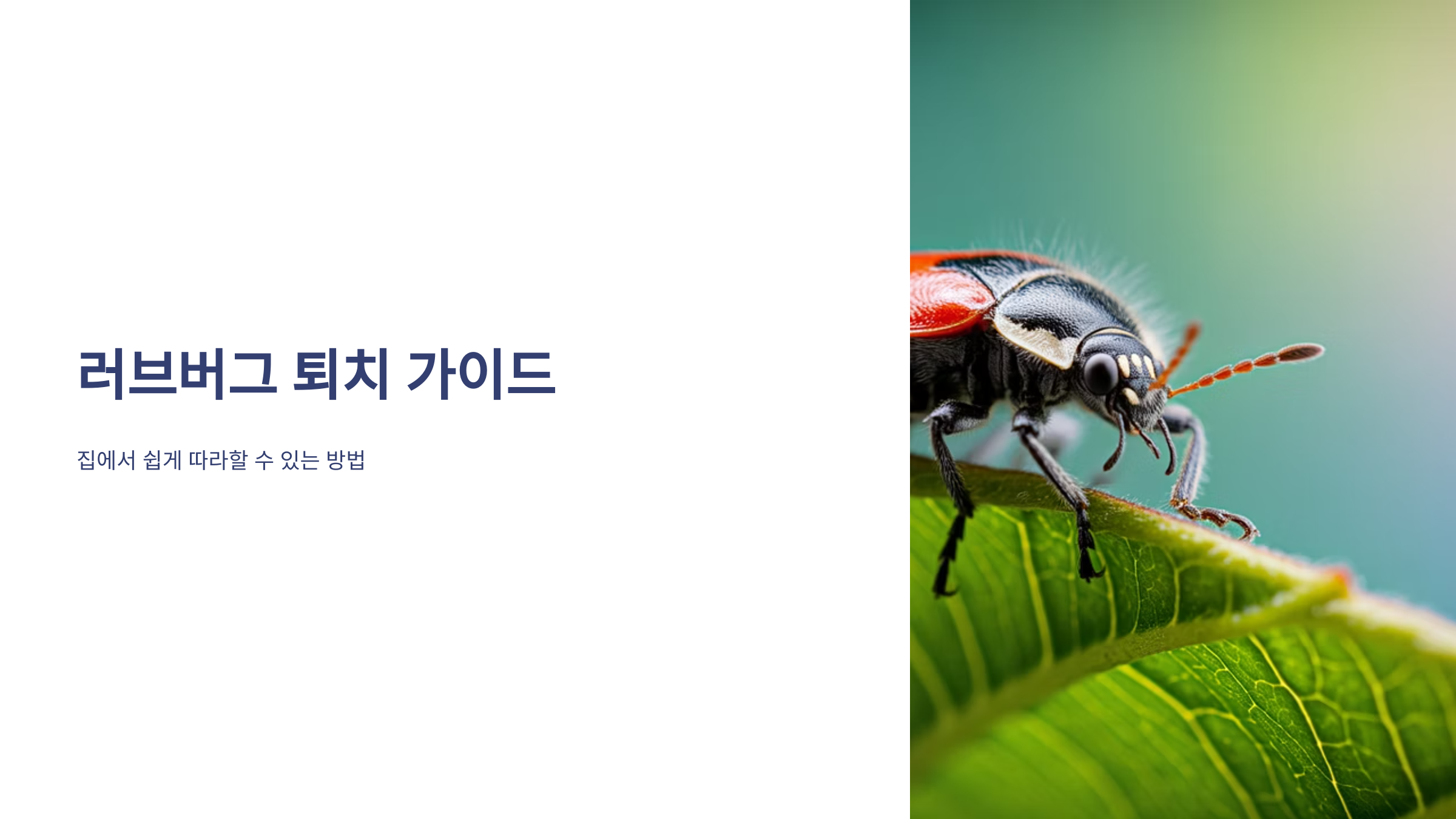 러브버그 퇴치