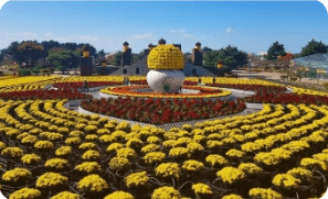 가을 꽃 명소 추천 &mdash; 전국 가을 꽃 여행지 총정리