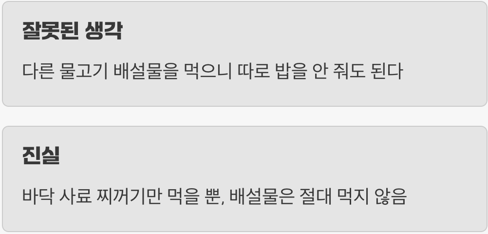 1. '청소부'라는 가장 큰 오해