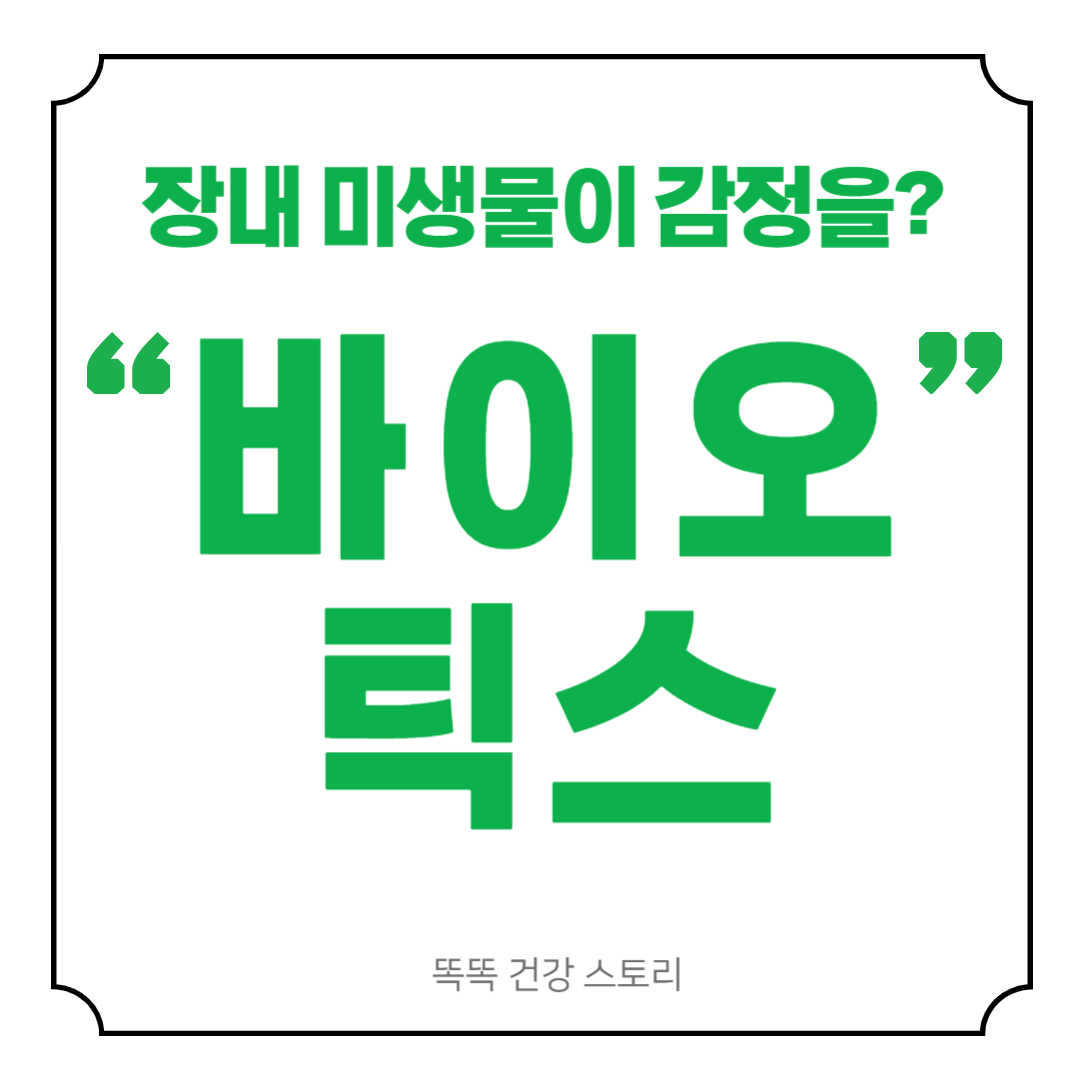 장내 미생물이 감정 조절을 돕는다? 프로바이오틱스의 숨은 효과