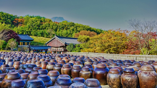 크론병에 좋은 단쇄지방산만드는 발효식품