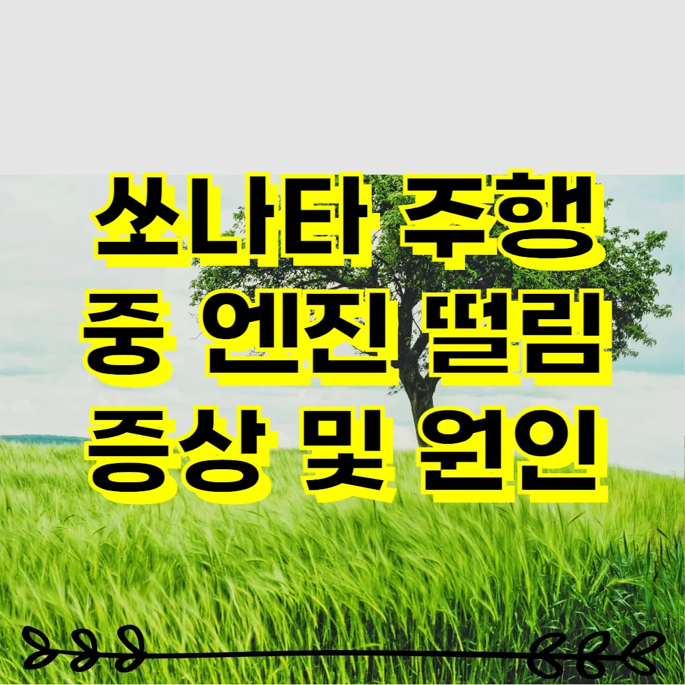 쏘나타 주행 중 엔진 떨림 증상 및 원인