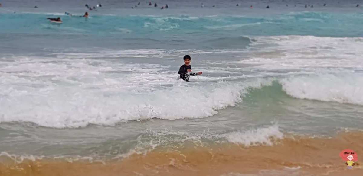 호주-시드니-본다이-비치-파도타기