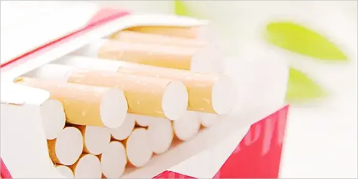 500엔으로 살 수 있는 멘솔 담배 전 10종 추천 랭킹