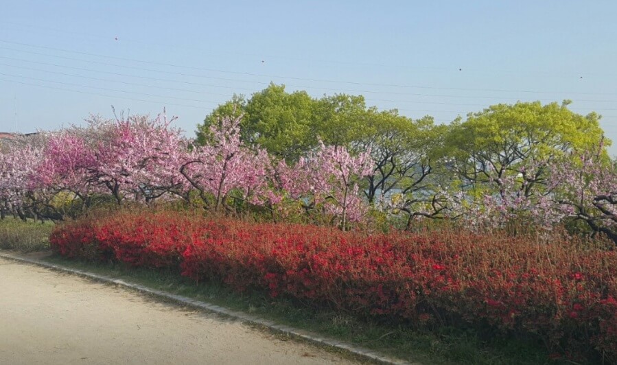 선유도공원 가는 방법