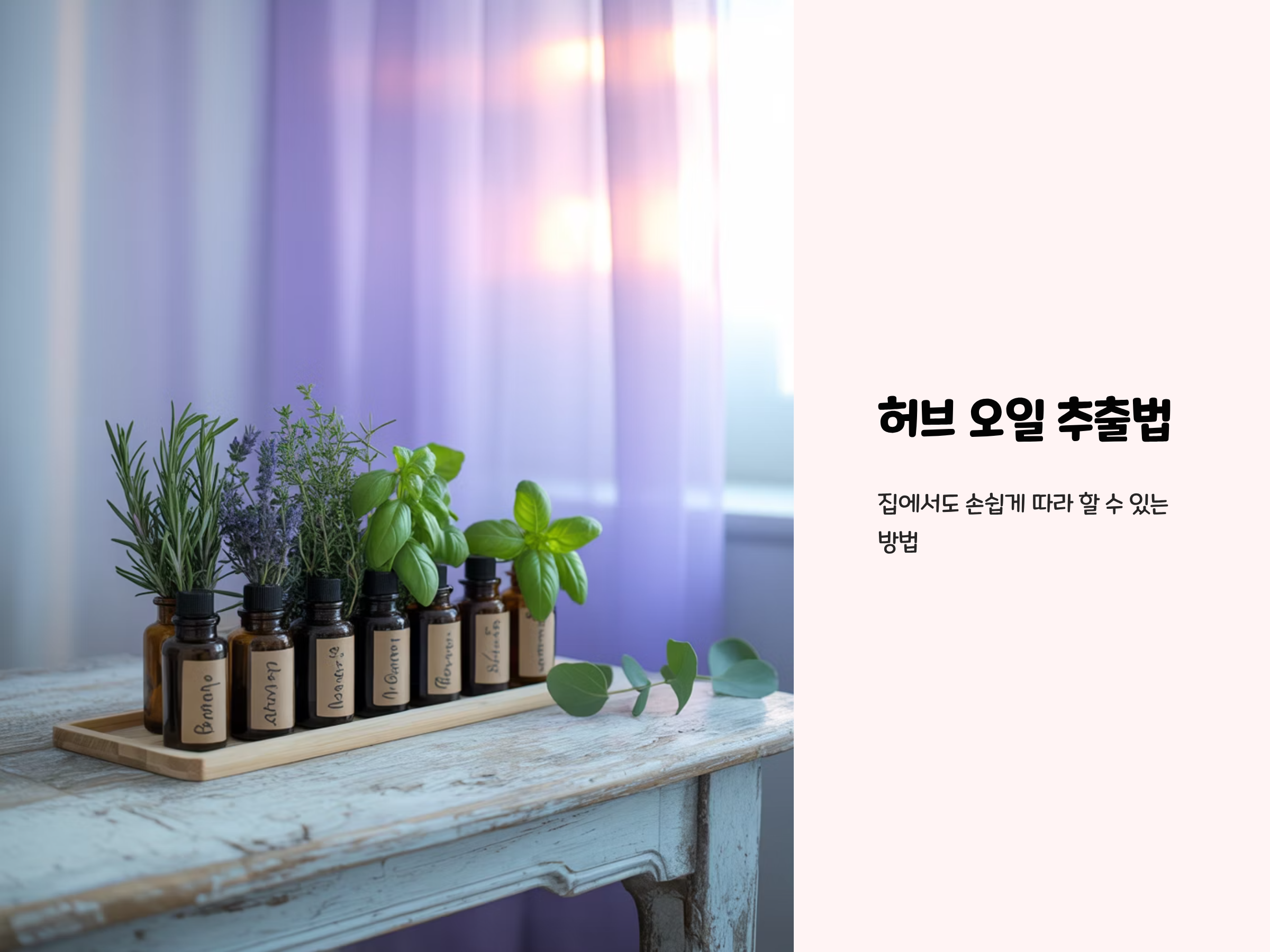 허브 오일 추출법