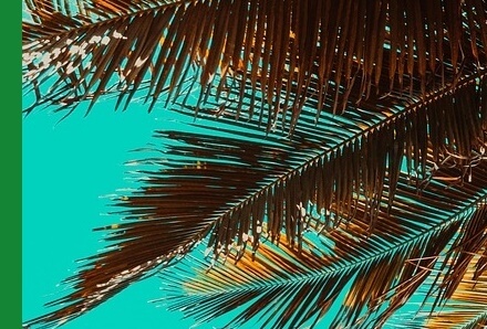 여름철건강관리