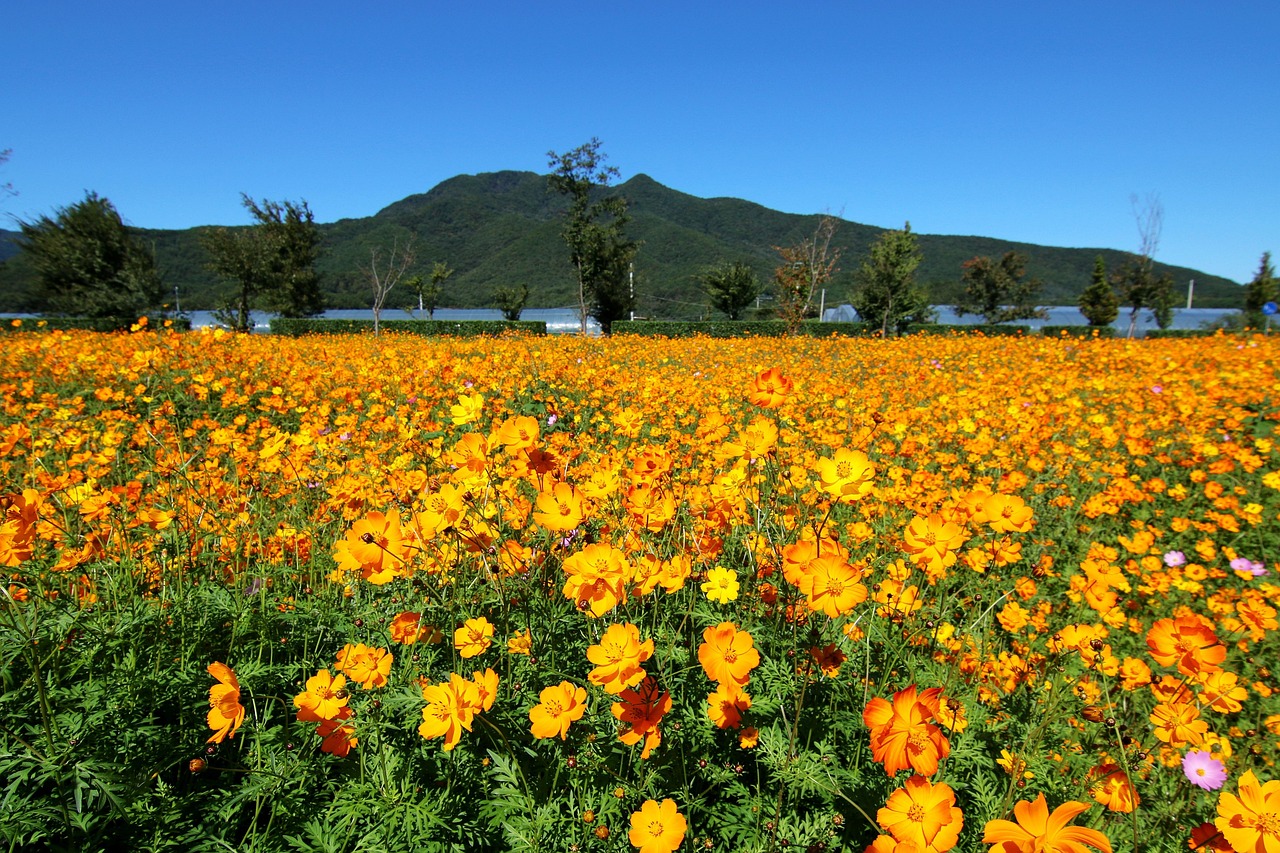 수도권 근교 나들이 장소 관련 사진