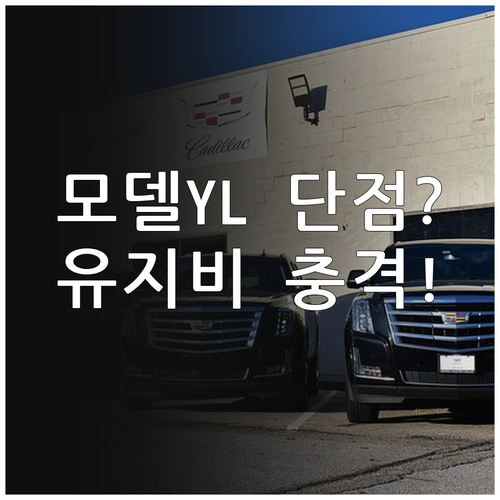 테슬라 모델 YL 단점과 유지비 감가..