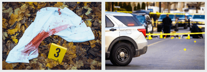 검시관 사건현장