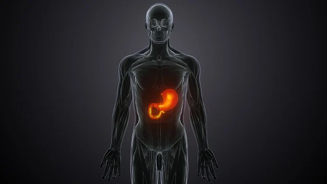 B형간염 예방접종 가격부터 항체 확인까지 완벽 가이드