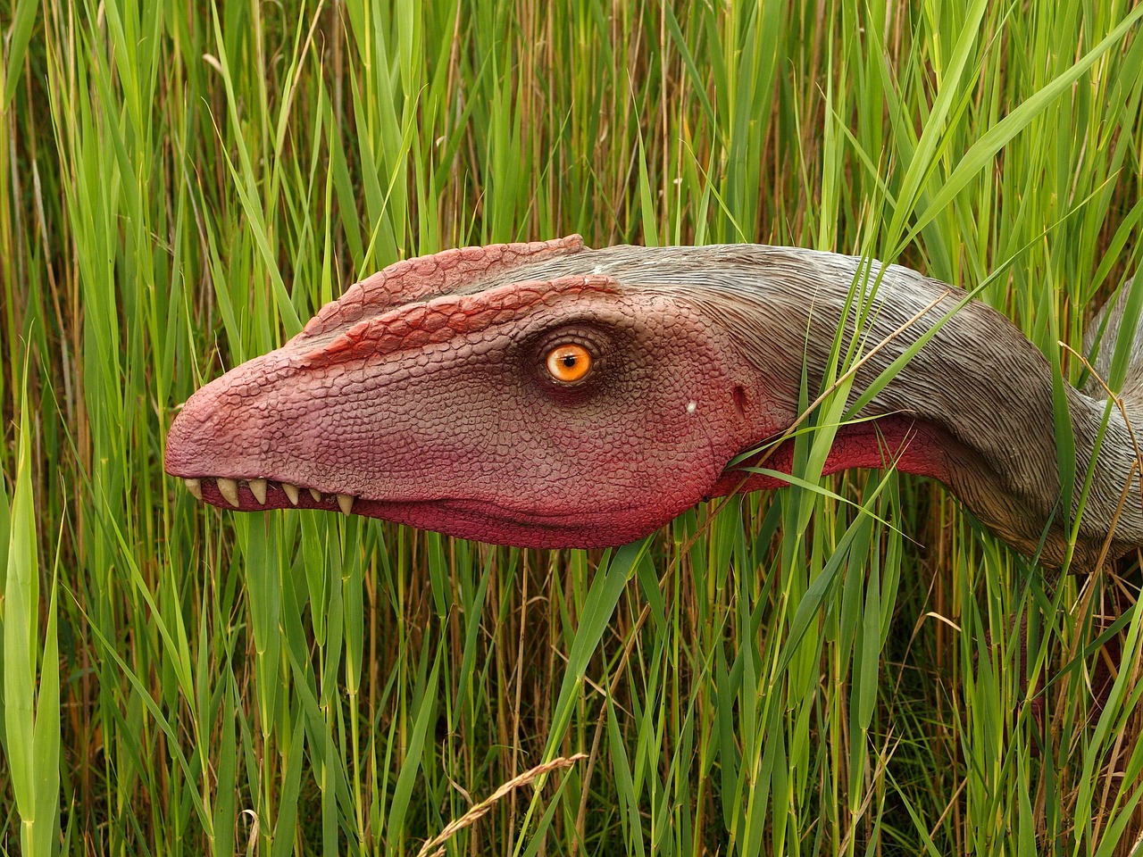 공룡의 생명 주기와 성장 단계