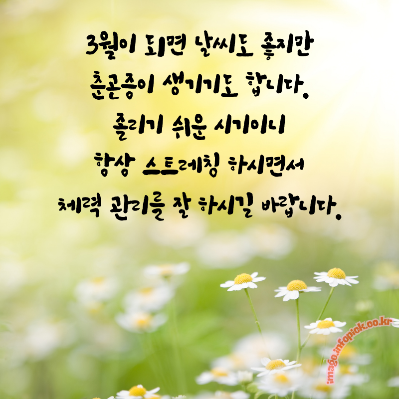 3월 인사말 문구 이미지 모음집3월 인사말 문구 이미지 모음집