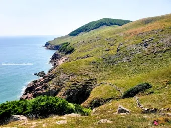 굴업도 여행 가는 방법 배시간표 민박집_7