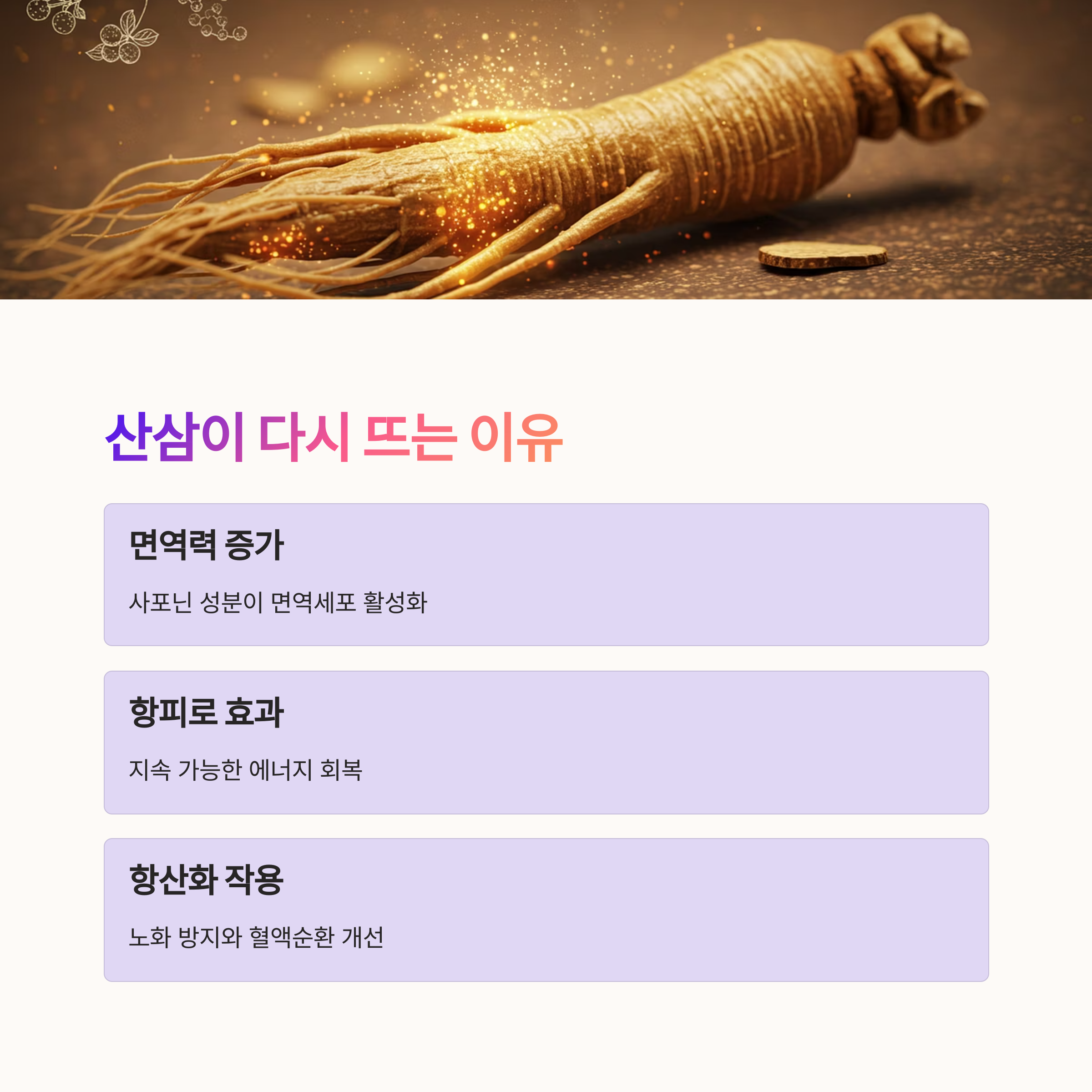 산삼이 요즘 다시 뜨는 이유